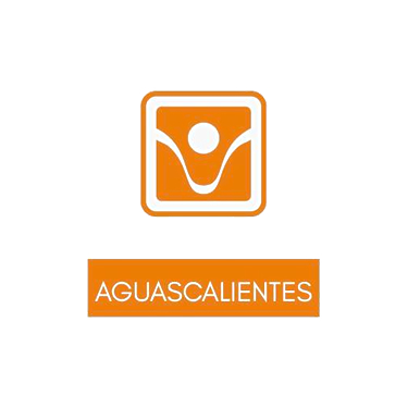 logo CIJ Aguascalientes